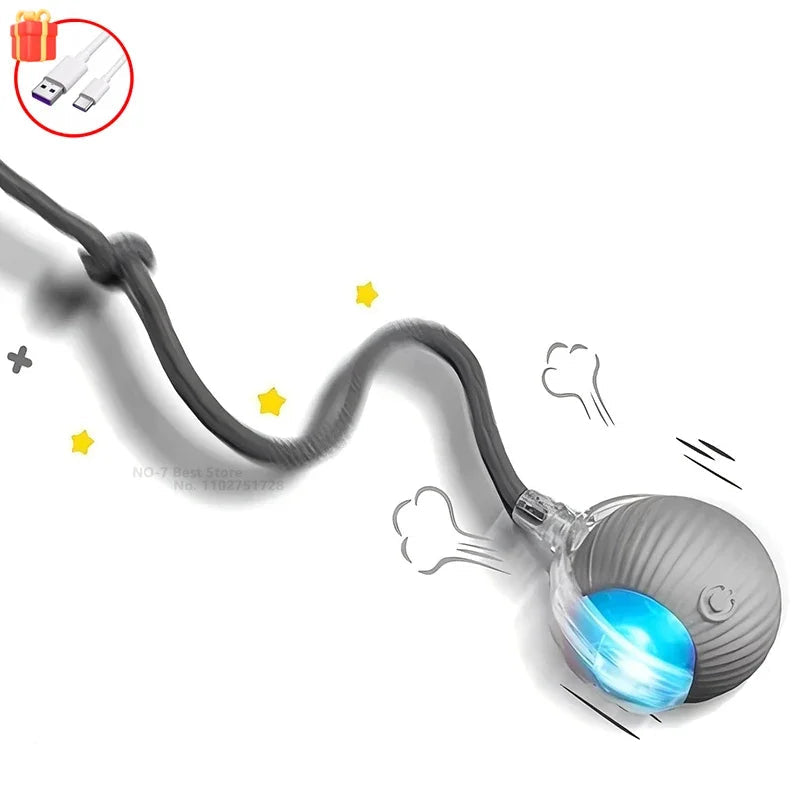 Pelota Inteligente "Caza-Ratón"