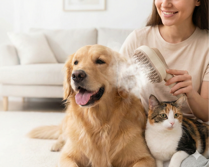 Cepillo de Vapor Pro