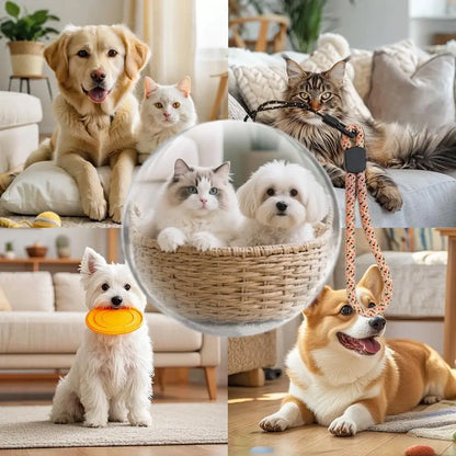 Esfera de Cristal 3D Personalizable