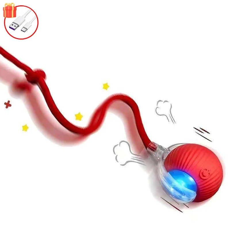 Pelota Inteligente "Caza-Ratón"