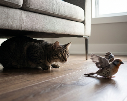 Pájaro Aleteador Interactivo