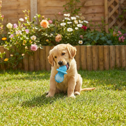 Ice Stick: Mordedor Refrescante