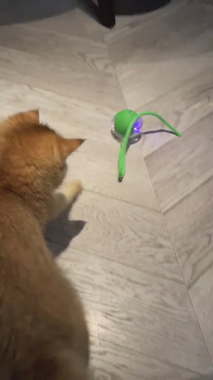 Pelota Inteligente "Caza-Ratón"