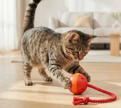 Pelota Inteligente "Caza-Ratón"